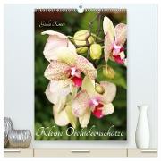 Kleine Orchideenschätze (hochwertiger Premium Wandkalender 2024 DIN A2 hoch), Kunstdruck in Hochglanz