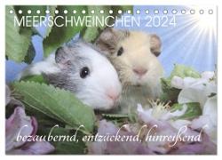 Meerschweinchen 2024 - bezaubernd, hinreißend, entzückend (Tischkalender 2024 DIN A5 quer), CALVENDO Monatskalender