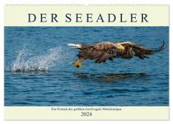 DER SEEADLER Ein Portrait des größten Greifvogels Mitteleuropas (Wandkalender 2024 DIN A2 quer), CALVENDO Monatskalender