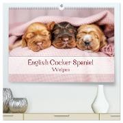 English Cocker Spaniel Welpen (hochwertiger Premium Wandkalender 2024 DIN A2 quer), Kunstdruck in Hochglanz