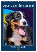 Appenzeller Sennenhund - Mit Plan durch das Jahr (Wandkalender 2024 DIN A2 hoch), CALVENDO Monatskalender