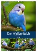 Der Wellensittich - Mein Lieblingsvogel (Wandkalender 2024 DIN A2 hoch), CALVENDO Monatskalender