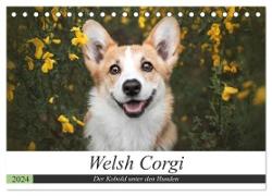 Welsh Corgi - Der Kobold unter den Hunden (Tischkalender 2024 DIN A5 quer), CALVENDO Monatskalender