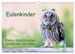 Eulenkinder - Kleine Waldohreulen entdecken die Welt (Wandkalender 2024 DIN A4 quer), CALVENDO Monatskalender