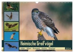 Heimische GREIFVÖGEL Adler Milan Bussard Weihe Sperber (Wandkalender 2024 DIN A3 quer), CALVENDO Monatskalender