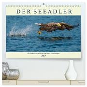 DER SEEADLER Ein Portrait des größten Greifvogels Mitteleuropas (hochwertiger Premium Wandkalender 2024 DIN A2 quer), Kunstdruck in Hochglanz