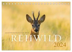Rehwild 2024 (Tischkalender 2024 DIN A5 quer), CALVENDO Monatskalender