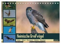 Heimische GREIFVÖGEL Adler Milan Bussard Weihe Sperber (Tischkalender 2024 DIN A5 quer), CALVENDO Monatskalender