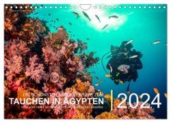 Die schönsten Korallenriffe zum Tauchen in Ägypten (Wandkalender 2024 DIN A4 quer), CALVENDO Monatskalender