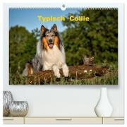 Typisch Collie (hochwertiger Premium Wandkalender 2024 DIN A2 quer), Kunstdruck in Hochglanz