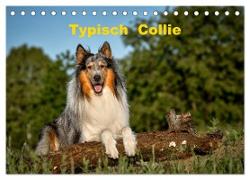 Typisch Collie (Tischkalender 2024 DIN A5 quer), CALVENDO Monatskalender