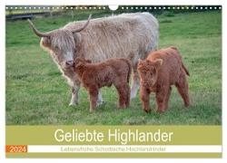 Geliebte Highlander (Wandkalender 2024 DIN A3 quer), CALVENDO Monatskalender