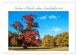 Sachsen-Anhalt's schöne Landschaften (Wandkalender 2024 DIN A2 quer), CALVENDO Monatskalender