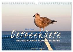 An der Ostseeküste - Deutschlands schönste Seite (Wandkalender 2024 DIN A4 quer), CALVENDO Monatskalender