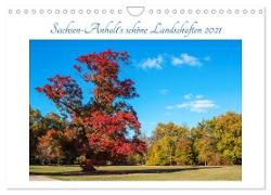 Sachsen-Anhalt's schöne Landschaften (Wandkalender 2024 DIN A4 quer), CALVENDO Monatskalender