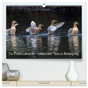 Die Entenballerina - freilebende Tiere in Bewegung (hochwertiger Premium Wandkalender 2024 DIN A2 quer), Kunstdruck in Hochglanz
