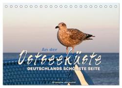 An der Ostseeküste - Deutschlands schönste Seite (Tischkalender 2024 DIN A5 quer), CALVENDO Monatskalender
