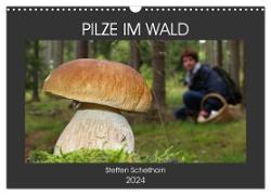 PILZE IM WALD (Wandkalender 2024 DIN A3 quer), CALVENDO Monatskalender