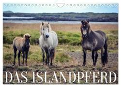 Das Islandpferd (Wandkalender 2024 DIN A4 quer), CALVENDO Monatskalender