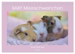 BABY Meerschweinchen Traumhaft süß (Tischkalender 2024 DIN A5 quer), CALVENDO Monatskalender