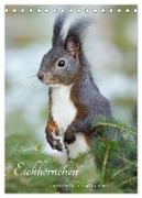 Eichhörnchen - zauberhafte Waldbewohner (Tischkalender 2024 DIN A5 hoch), CALVENDO Monatskalender