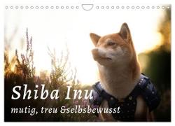 Shiba Inu - mutig, treu, selbstbewusst (Wandkalender 2024 DIN A4 quer), CALVENDO Monatskalender