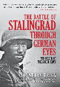 The Battle of Stalingrad Through German Eyes