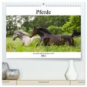 Pferde, das größte Glück auf dieser Erde (hochwertiger Premium Wandkalender 2024 DIN A2 quer), Kunstdruck in Hochglanz