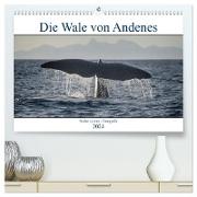 Die Wale von Andenes (hochwertiger Premium Wandkalender 2024 DIN A2 quer), Kunstdruck in Hochglanz
