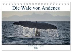 Die Wale von Andenes (Tischkalender 2024 DIN A5 quer), CALVENDO Monatskalender