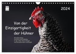 Von der Einzigartigkeit der Hühner 2024 (Wandkalender 2024 DIN A4 quer), CALVENDO Monatskalender