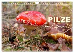 Pilze im Elfenwald (Wandkalender 2024 DIN A4 quer), CALVENDO Monatskalender