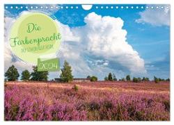 Die Farbenpracht der Lüneburger Heide (Wandkalender 2024 DIN A4 quer), CALVENDO Monatskalender