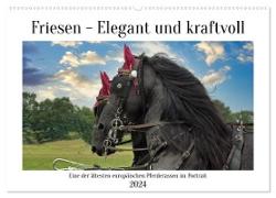 Friesen - elegant und kraftvoll (Wandkalender 2024 DIN A2 quer), CALVENDO Monatskalender