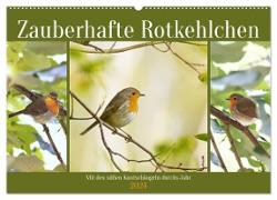 Zauberhafte Rotkehlchen (Wandkalender 2024 DIN A2 quer), CALVENDO Monatskalender
