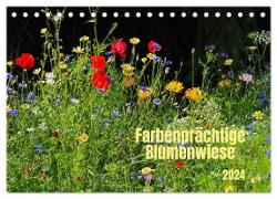 Farbenprächtige Blumenwiese (Tischkalender 2024 DIN A5 quer), CALVENDO Monatskalender