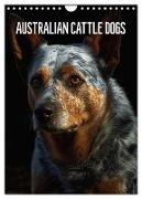 Australian Cattle Dogs (Wandkalender 2024 DIN A4 hoch), CALVENDO Monatskalender