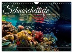 Schnorcheltiefe (Wandkalender 2024 DIN A4 quer), CALVENDO Monatskalender