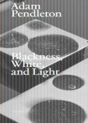 Adam Pendleton. Blackness, White and Light (English)