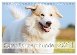 Pyrenäenberghunde (Tischkalender 2024 DIN A5 quer), CALVENDO Monatskalender