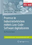 Prozesse in Industriebetrieben mittels Low-Code-Software digitalisieren