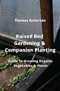 Raised Bed Gardening & Companion Planting