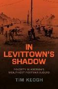 In Levittown's Shadow