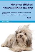 Havanese (Bichon Havanais) Tricks Training Havanese Tricks & Games Training Tracker & Workbook. Includes