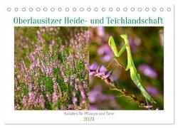 Oberlausitzer Heide- und Teichlandschaft (Tischkalender 2024 DIN A5 quer), CALVENDO Monatskalender