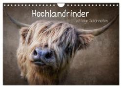 Hochlandrinder - Zottelige Schönheiten (Wandkalender 2024 DIN A4 quer), CALVENDO Monatskalender