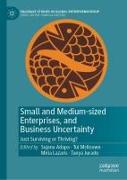 Small and Medium-Sized Enterprises, and Business Uncertainty