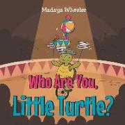 Who Are You Little Turtle?