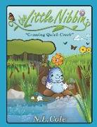The Little Nibbin: Crossing Quick Creek