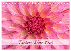 Dahlien-Kronen (Tischkalender 2024 DIN A5 quer), CALVENDO Monatskalender
